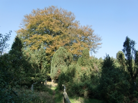 Schermbeck : Impressionen aus dem Naturschutzgebiet Loosenberge